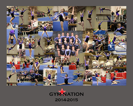Gymnation 2014-2015-Final
