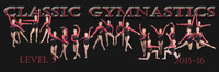 Classic Gymnastics Level 5 poster-2016