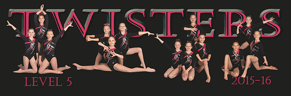 TCT Poster template 8x24-Level 5-Final-corrected2