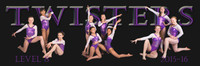 TCT Poster template 8x24-Level 8-Final