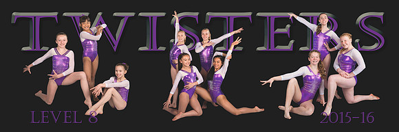 TCT Poster template 8x24-Level 8-Final