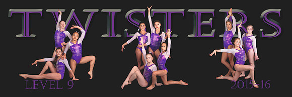 TCT Poster template 8x24-Level 9-Final