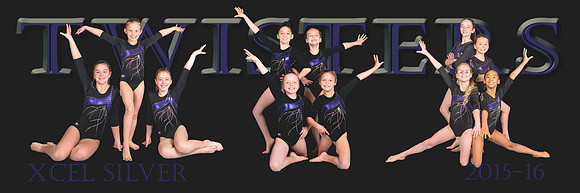 TCT Poster template 8x24-Xcel Silver-Final