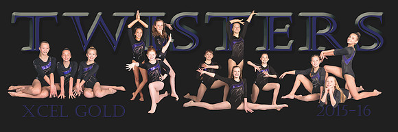 TCT Poster template 8x24-Xcel Gold-Final