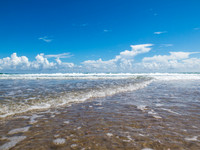 Outer Banks Aug. 2017-2442.jpg
