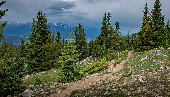 Amber on Keystone