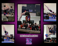5-pic collage-Gullickson-hires