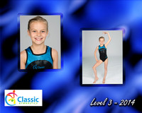 Anne Jones Level 3 memory mate-2014