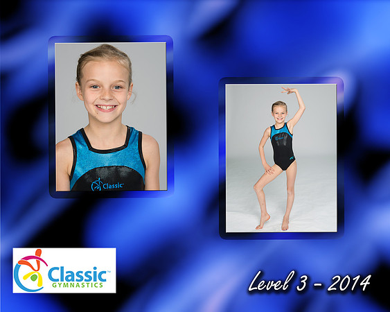 Anne Jones Level 3 memory mate-2014